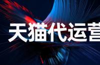 轉讓后的天貓店鋪能變更店鋪名稱嗎？