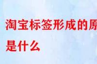 怎樣得到精準流量？淘寶標簽形成的原因是什么？
