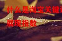 什么是淘寶關(guān)鍵詞展現(xiàn)指數(shù)？它的作用是什么？