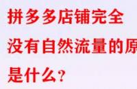 拼多多店鋪完全沒有自然流量的原因是什么？