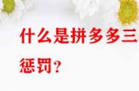 什么是拼多多三級懲罰？