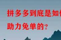 拼多多到底是如何助力免單的？