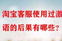淘寶客服使用過激言語的后果有哪些？
