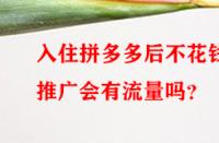 入住拼多多后不花錢推廣會有流量嗎？